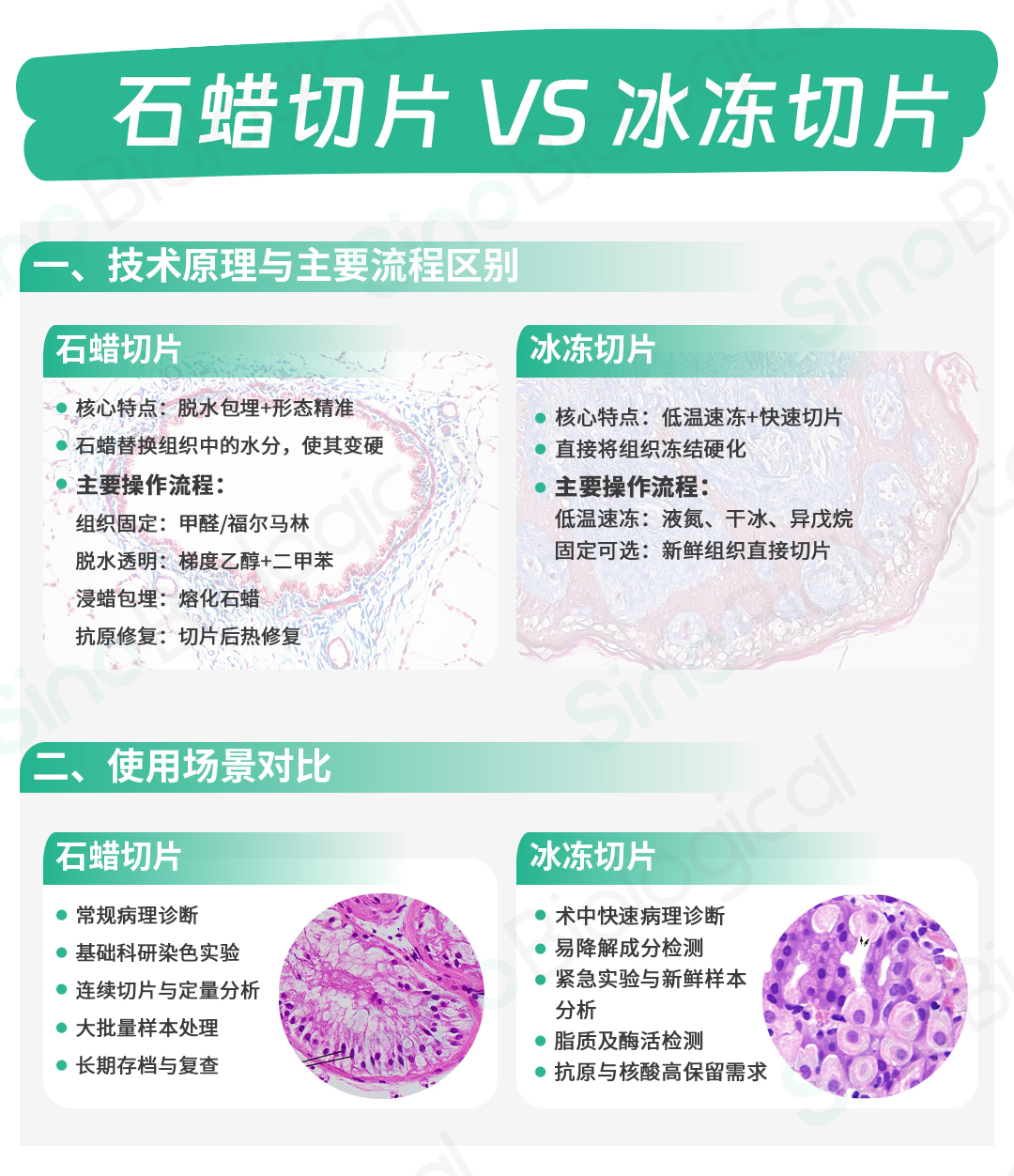 实验干货总结：石蜡切片 VS 冰冻切片