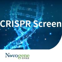 CRISPR Screen 高通量基因编辑筛选手段