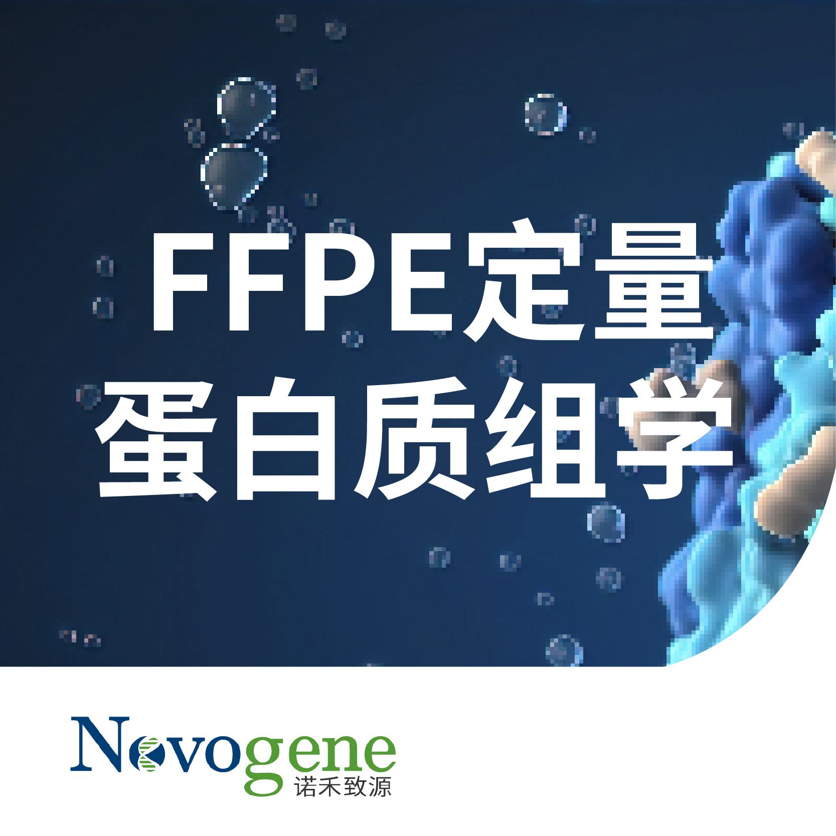 FFPE定量蛋白质组学
