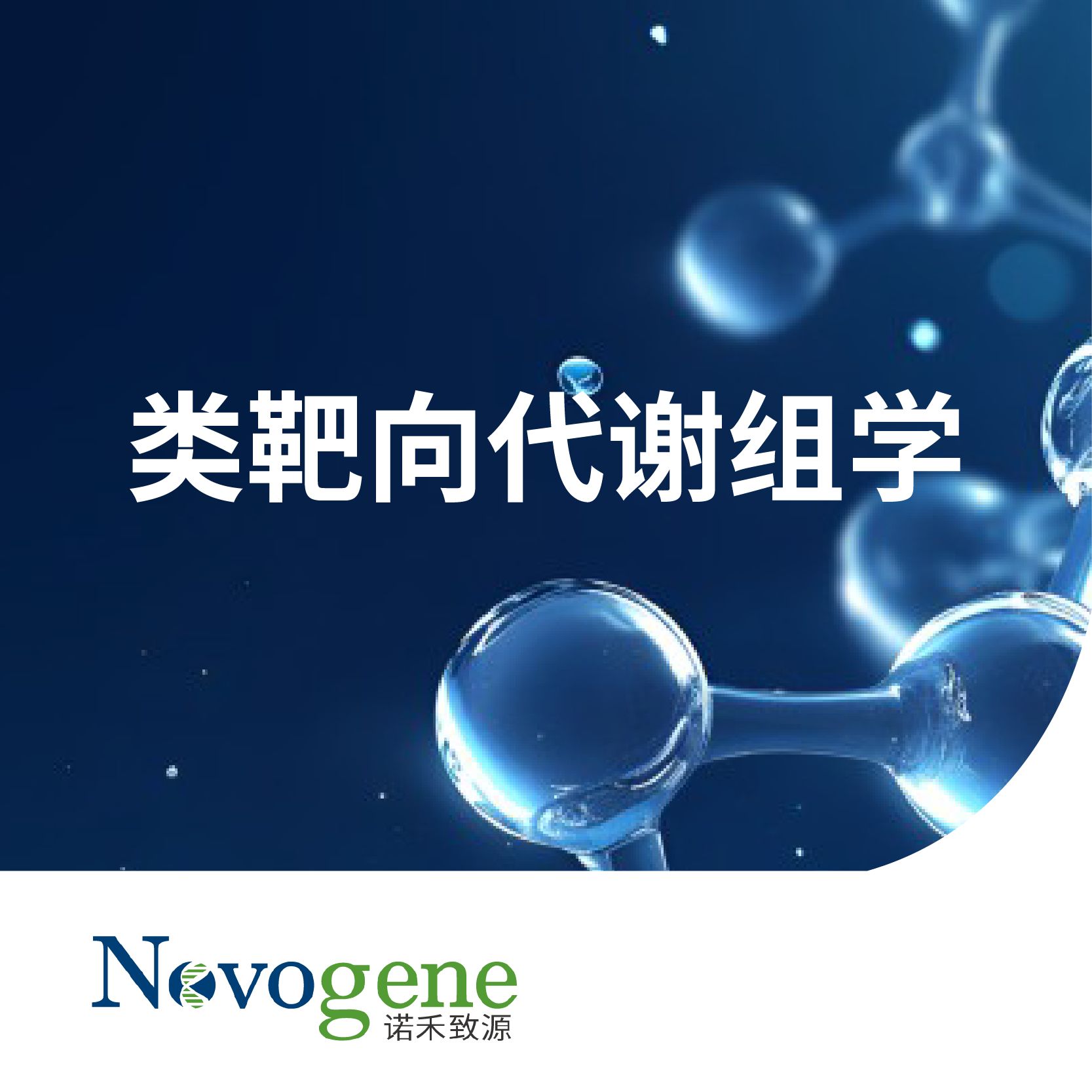 类靶向代谢组学