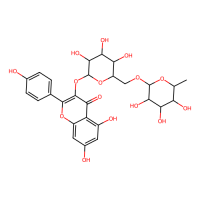 莰菲醇-3-O-芸香糖苷,17650-84-9,10mM in DMSO,阿拉丁