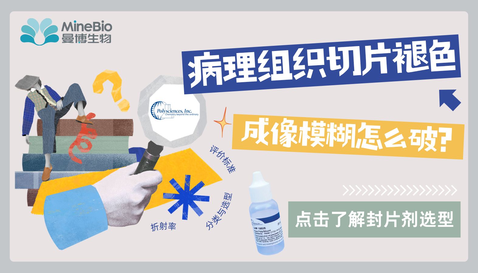 病理组织切片总褪色、成像模糊？从封片剂选型与操作提升成像质量