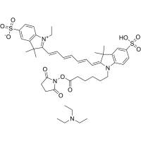 CY7-SE triethylamine