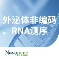 外泌体非编码RNA测序