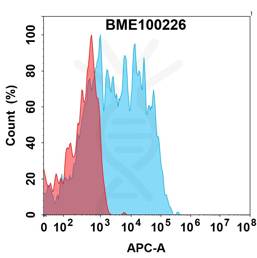 bme100226-crtam-fc1.jpg