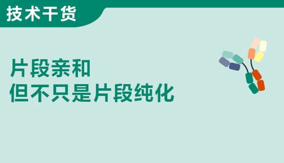 文献速递丨MabSelect VL用于双抗/三抗纯化及两步法工艺