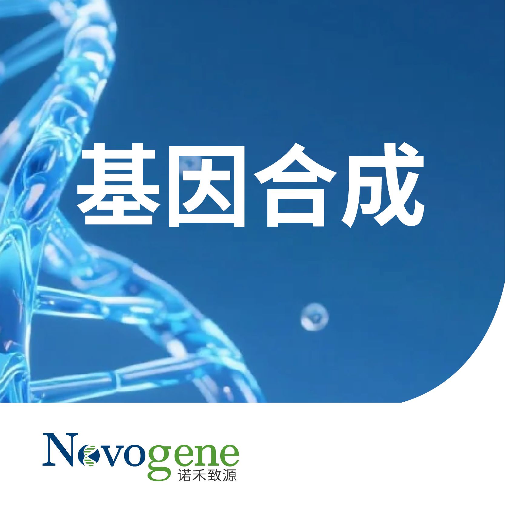 基因合成