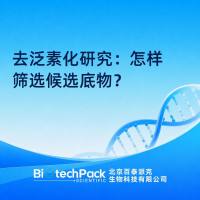 去泛素化研究：怎样筛选候选底物？