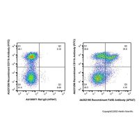 Recombinant F4/80 Antibody (AF647)，重组,ExactAb™