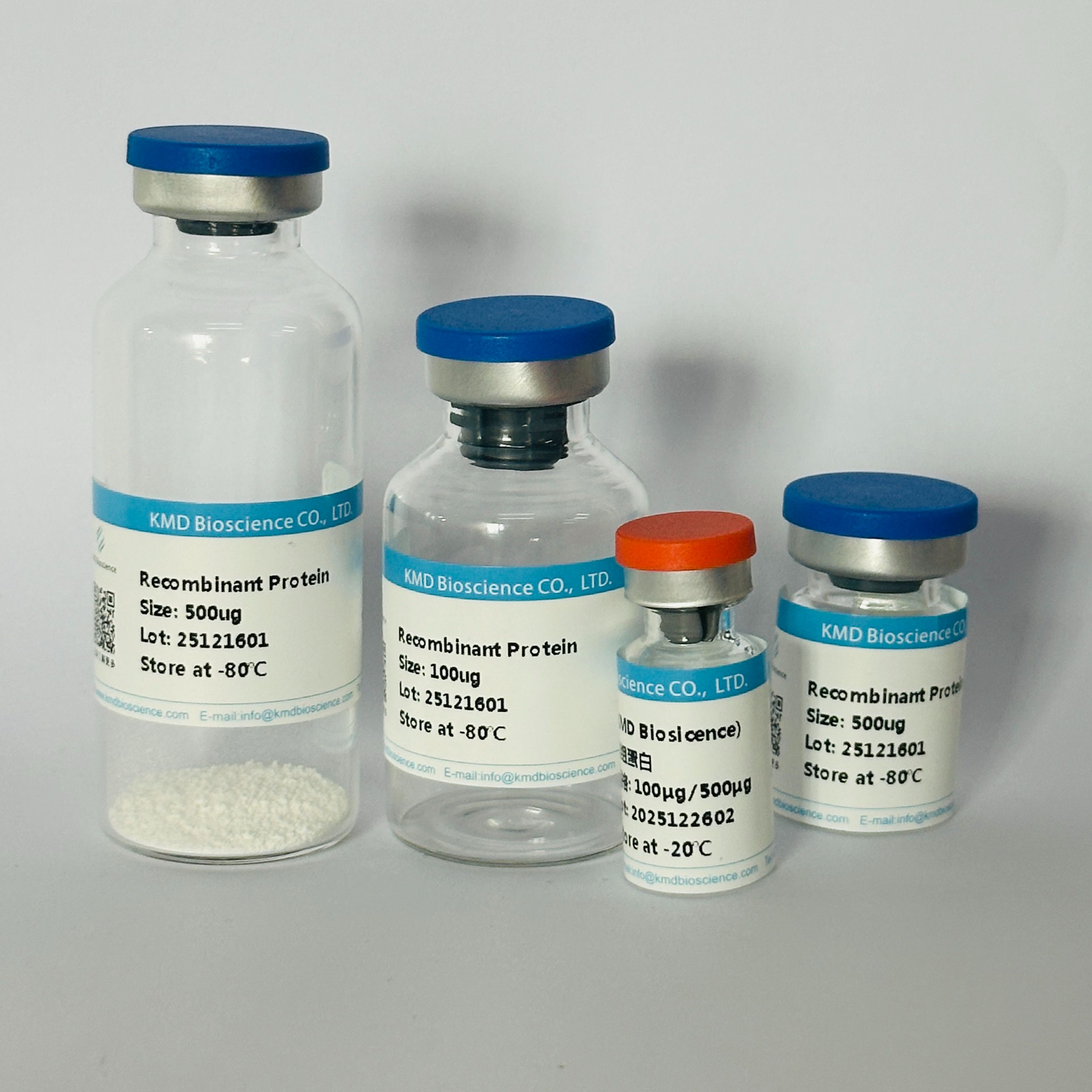 Recombinant Human ACE2 Protein, His-tag