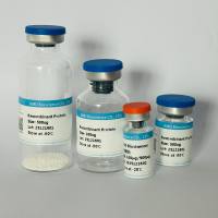 Recombinant Human ACE2 Protein, His-tag