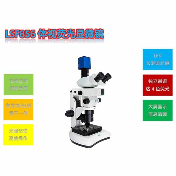 LSF856体视荧光显微镜