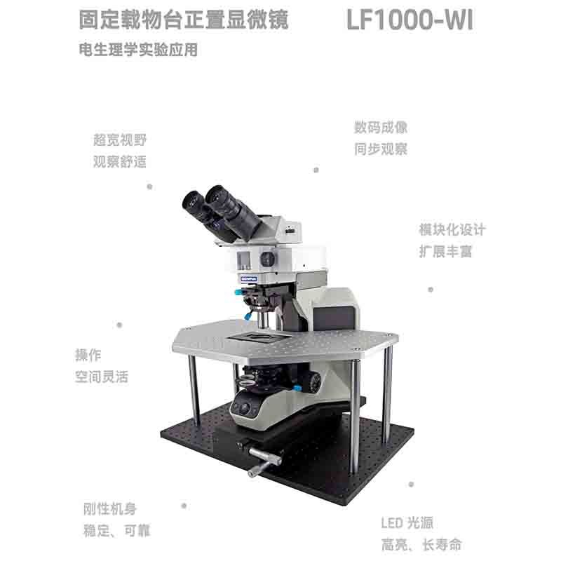 LF1000-WI 电生理实验正置显微镜