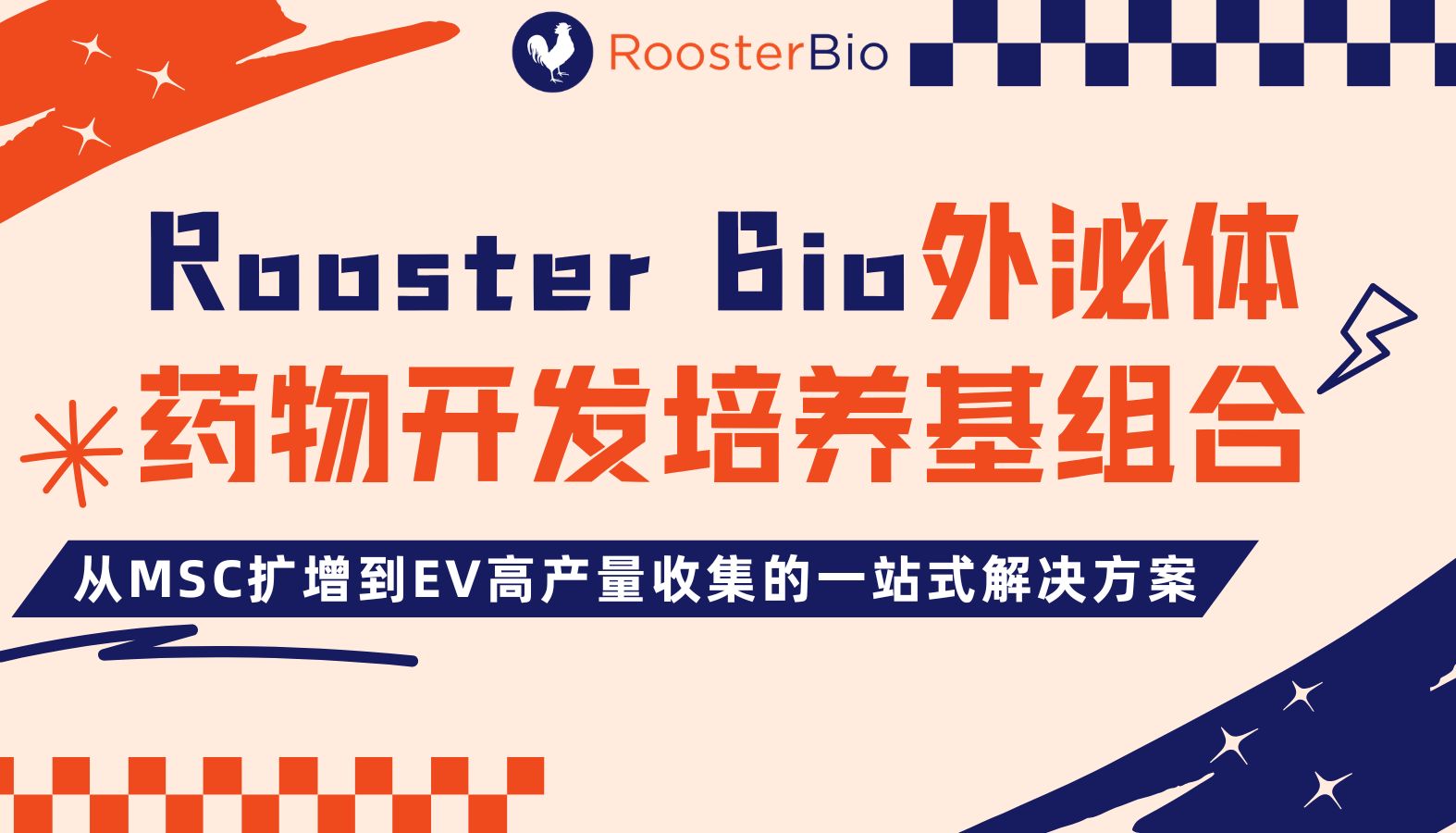 Rooster Bio外泌体药物开发培养基组合｜从MSC扩增到EV高产量收集的一站式解决方案