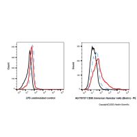 CD80 Armenian Hamster mAb (Biotin)，ExactAb™,已验证,0