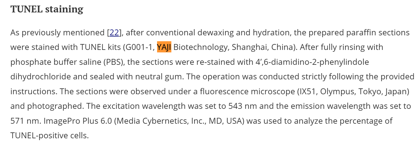 文献引用产品|Ultrapure Water （DNase/RNase-Free, Sterile）