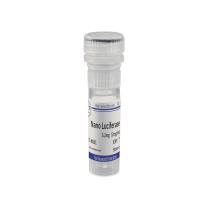 Nano荧光素酶