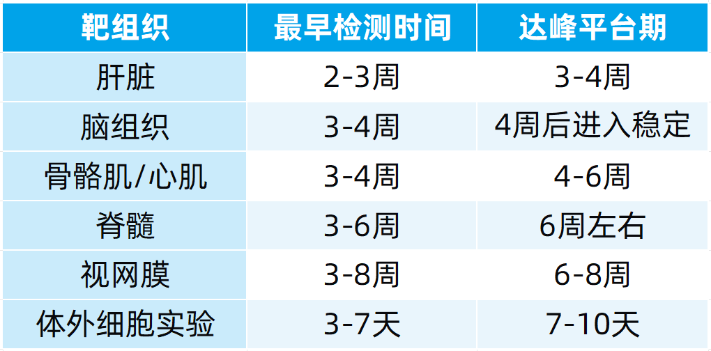 【实操指南】rAAV注射后无表达/表达弱？下游操作要点与排查指南（下篇）