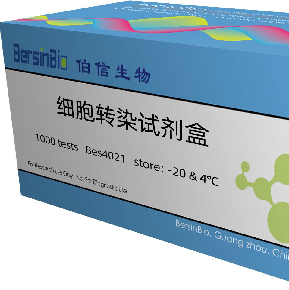 细胞转染试剂盒（Bes4021）