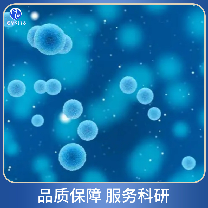 如何去除斑马鱼胚胎成纤维细胞中的污染