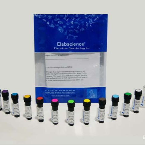 Purified Anti-Human CD41 Antibody[HIP2]