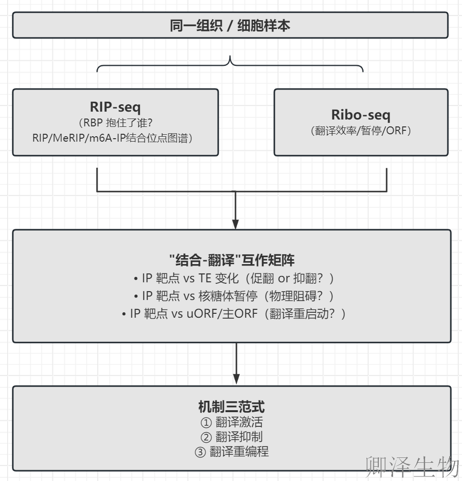 【翻译组 × Omics 搭子 · 第 4 期】