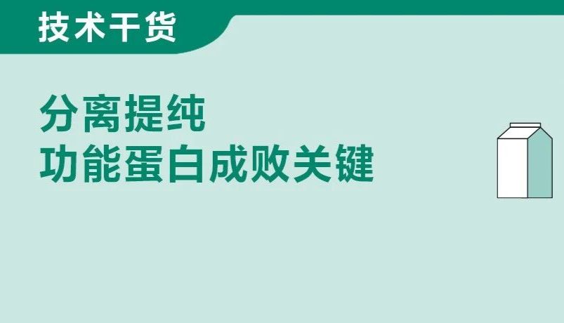 一文读懂：乳品功能蛋白纯化四大核心难题