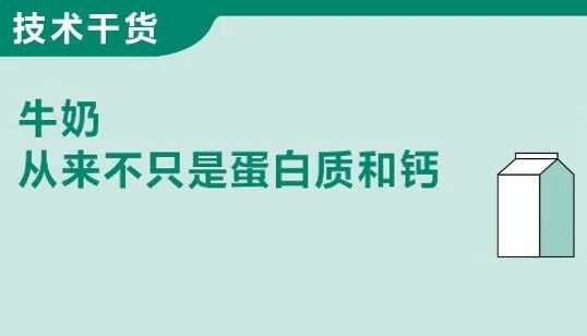乳制品深加工系列专题 | 一杯牛奶里，藏着多少你没注意到的“宝藏”？