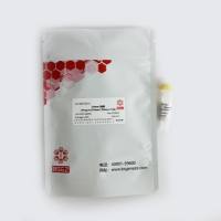 DNase I溶液，10mg/mLDNase I (RNase-Free)