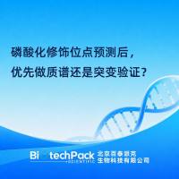 磷酸化修饰位点预测后，优先做质谱还是突变验证？