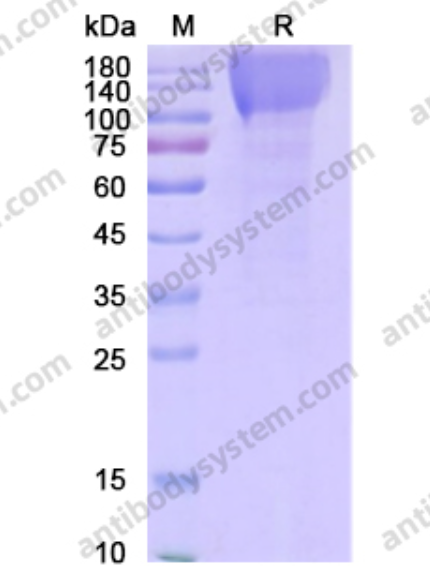 产品细节图片2