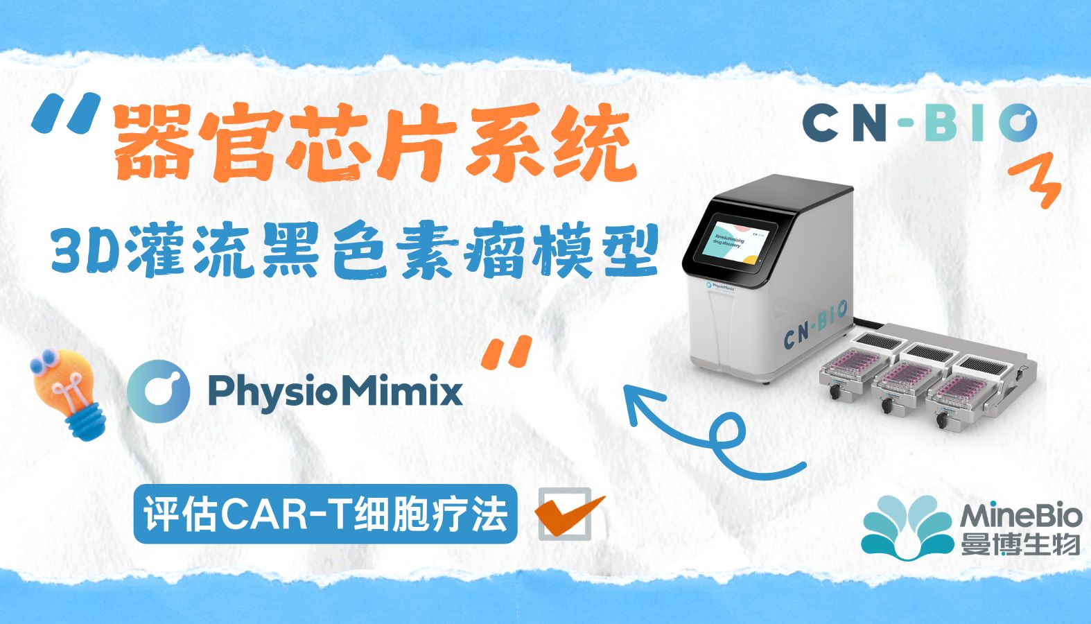 CNBio器官芯片｜3D灌流黑色素瘤模型评估CAR-T细胞疗法