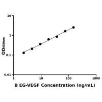 牛内分泌腺来源血管内皮生长因子(EG-VEGF)ELISA试剂盒