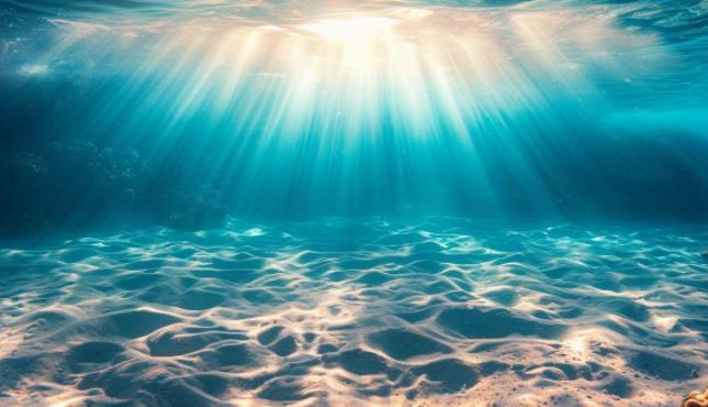 海水沉积物检测全解析：理化指标、重金属、有机物、微塑料检测技术及海洋生态应用