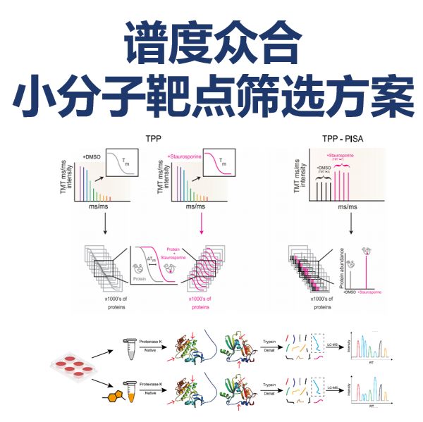 谱度众合TPP与LiP-MS技术助力小分子作用靶点发现