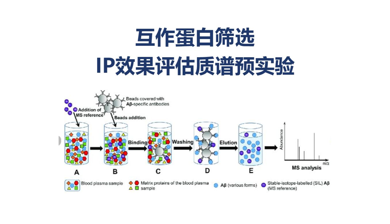 IP-MS 预实验评估：如何通过质谱数据评估互作筛选效果