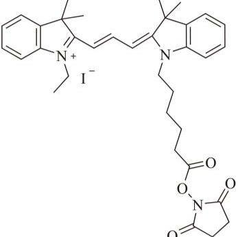 Cy3-E SE (Cy3-E 琥珀酰亚胺酯)