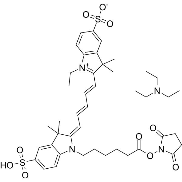 CY5-SE triethylamine salt