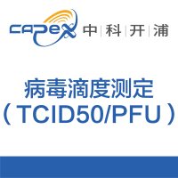 病毒滴度测定(TCID₅₀/PFU)