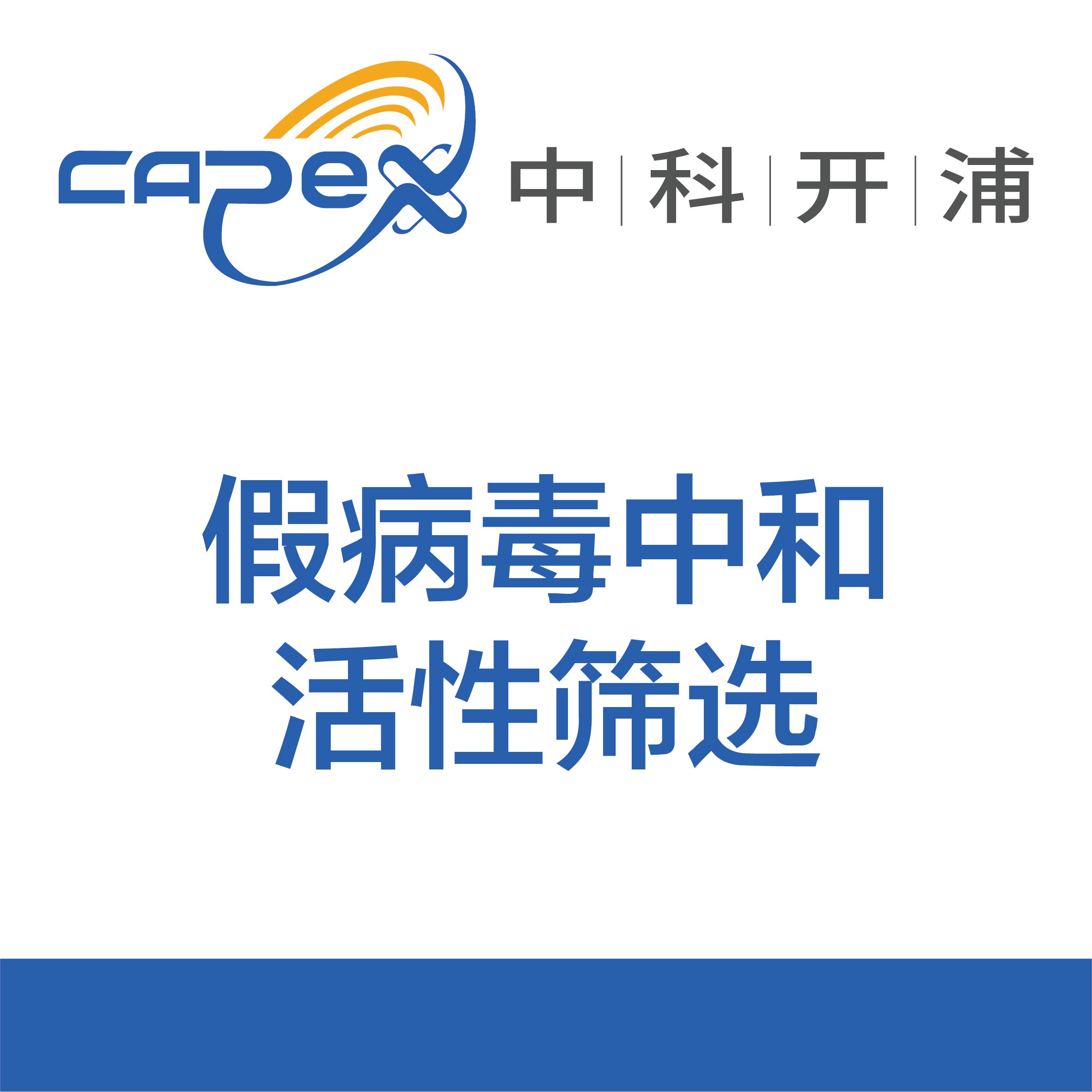 假病毒中和活性筛选