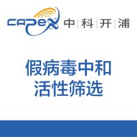 假病毒中和活性筛选