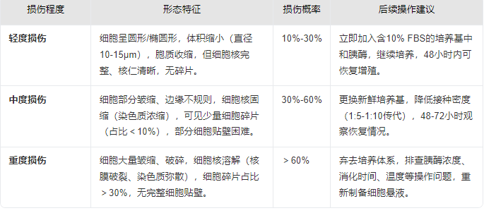 胰酶消化后细胞状态差，如何判断损伤程度