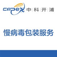 慢病毒包装服务