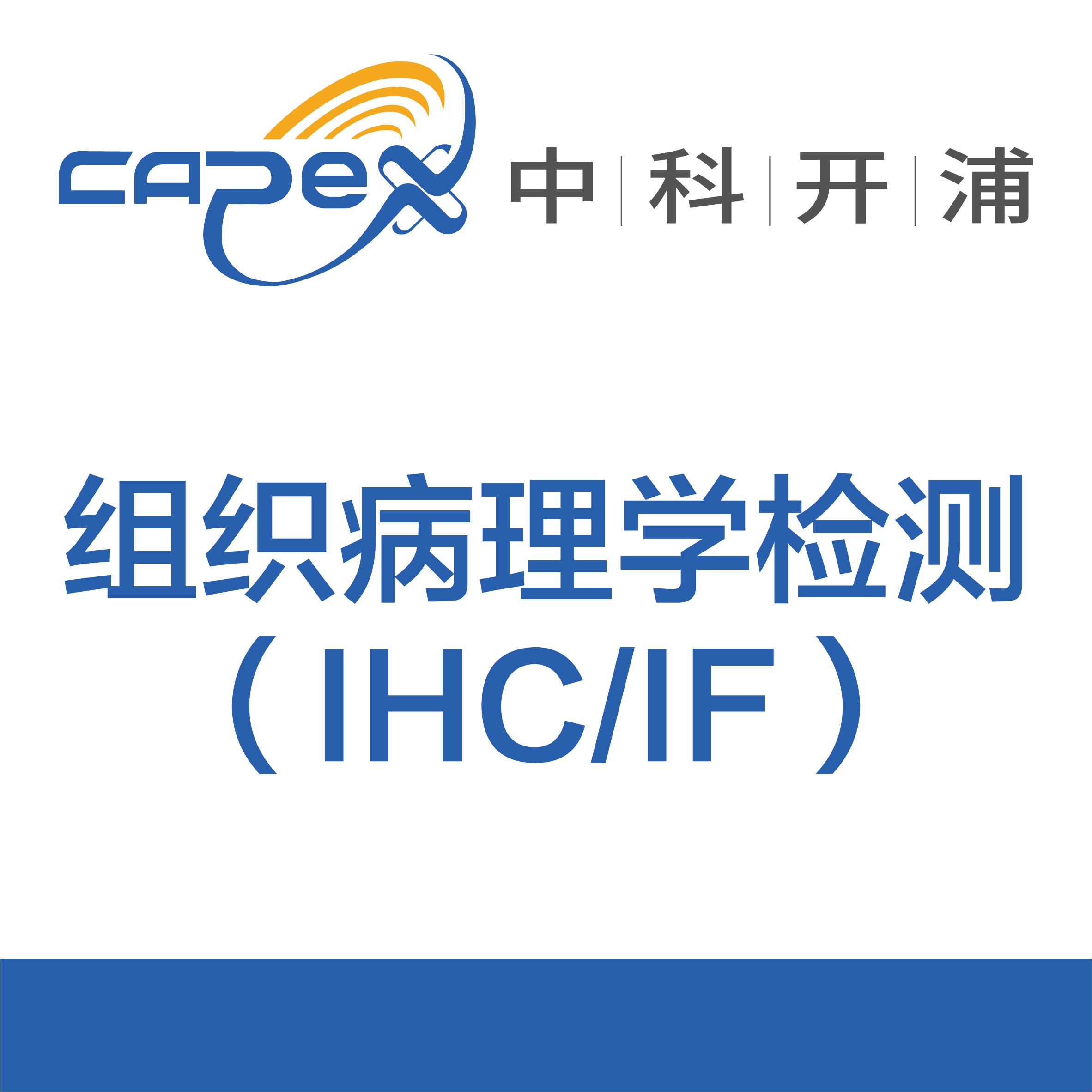 组织病理(IHC/IF)染色