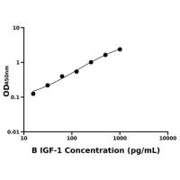牛胰岛素样生长因子1(IGF-1)ELISA试剂盒