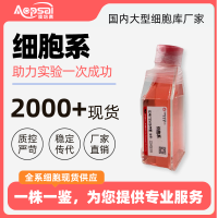 MRC-5 人胚肺成纤维细胞