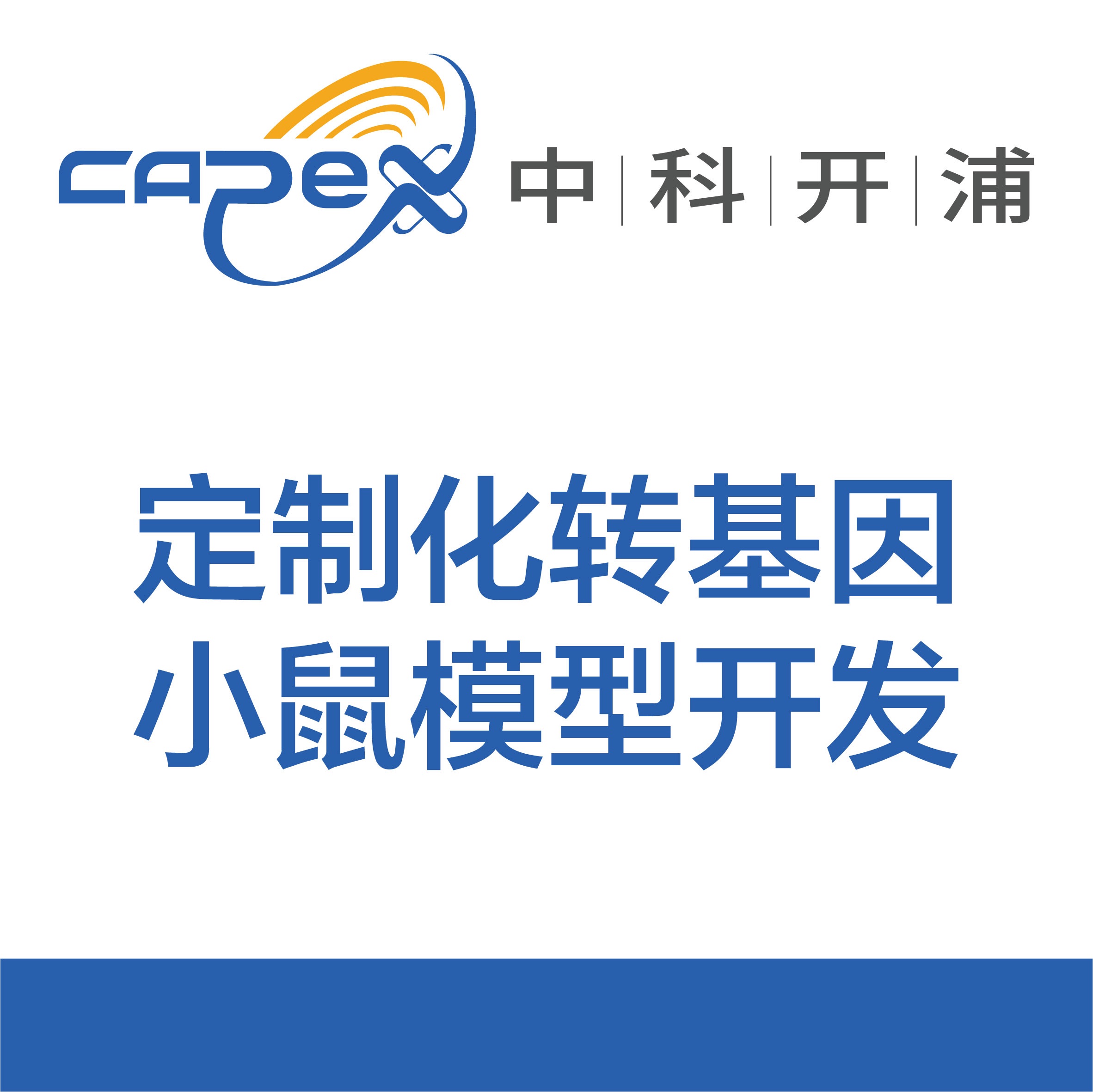 定制化转基因小鼠模型开发