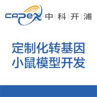 定制化转基因小鼠模型开发