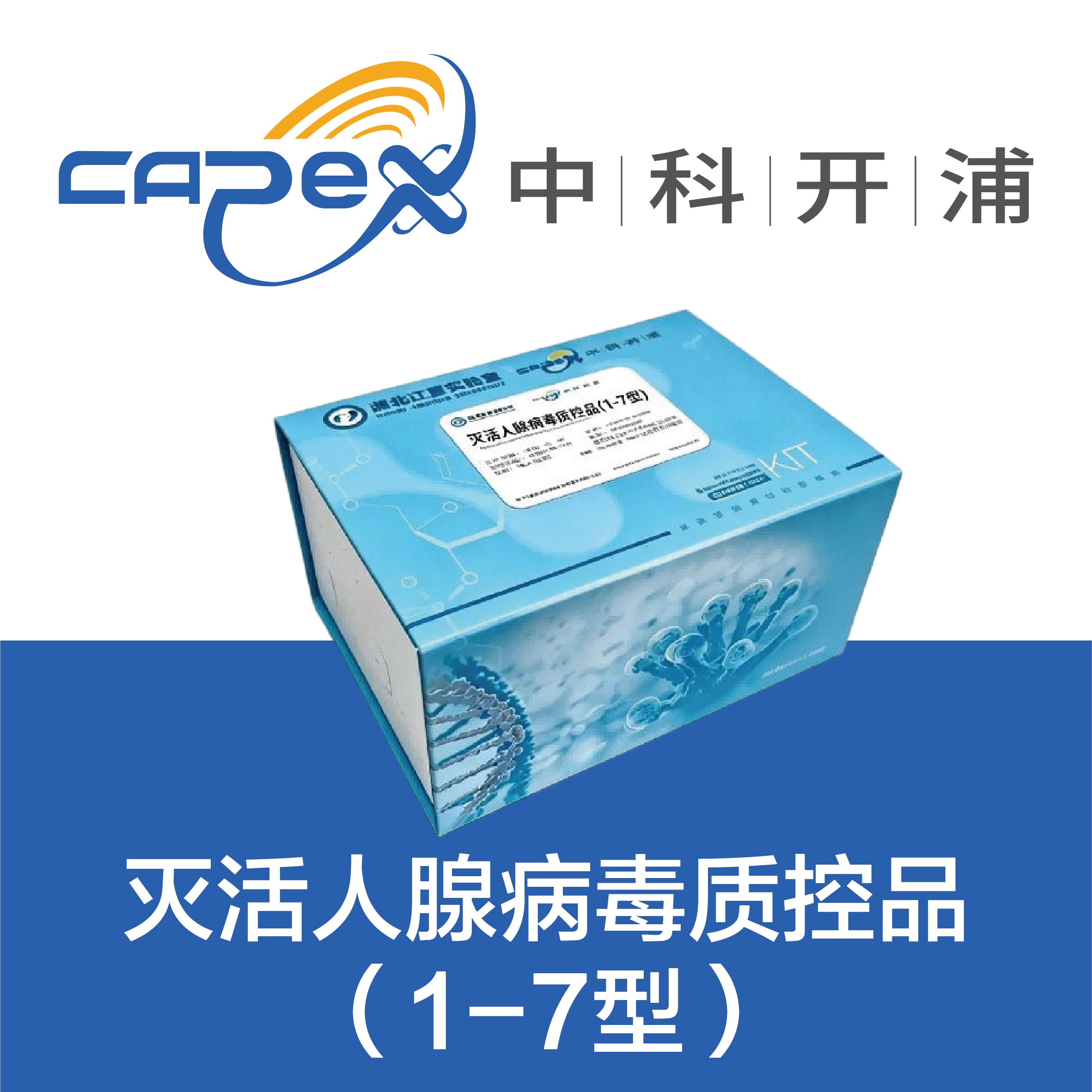 灭活人腺病毒质控品4型