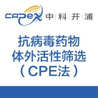 抗病毒药物体外活性筛选(CPE法)